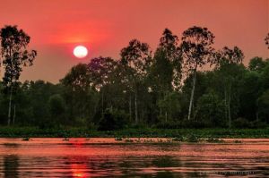 Gửi miền hạ - Thơ Hoài Vũ