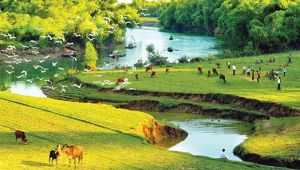 Quê hương có khi mà ta không biết