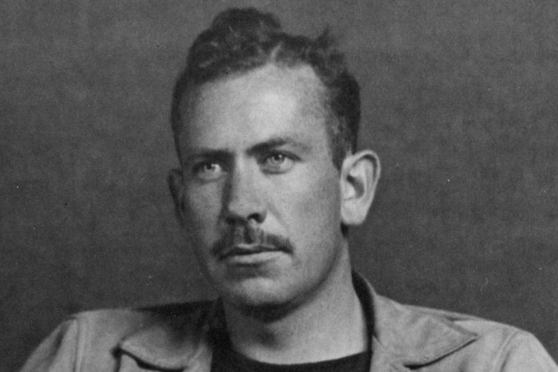 HOA CÚC – Truyện ngắn John Steinbeck