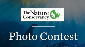 Cuộc Thi Nhiếp Ảnh Quốc Tế “The Nature Conservancy: 2023 Global Photo Contest”