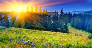 Nắng đã lên cao - Truyện ngắn Nguyễn Đức Bình